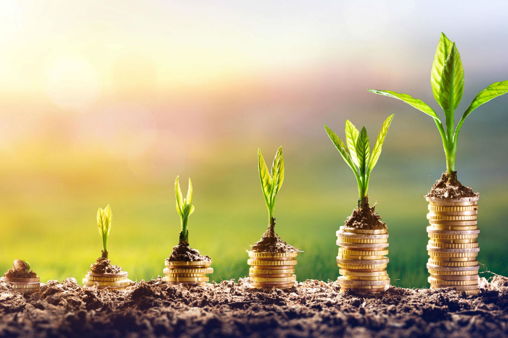 20190910104502-Greencurrency