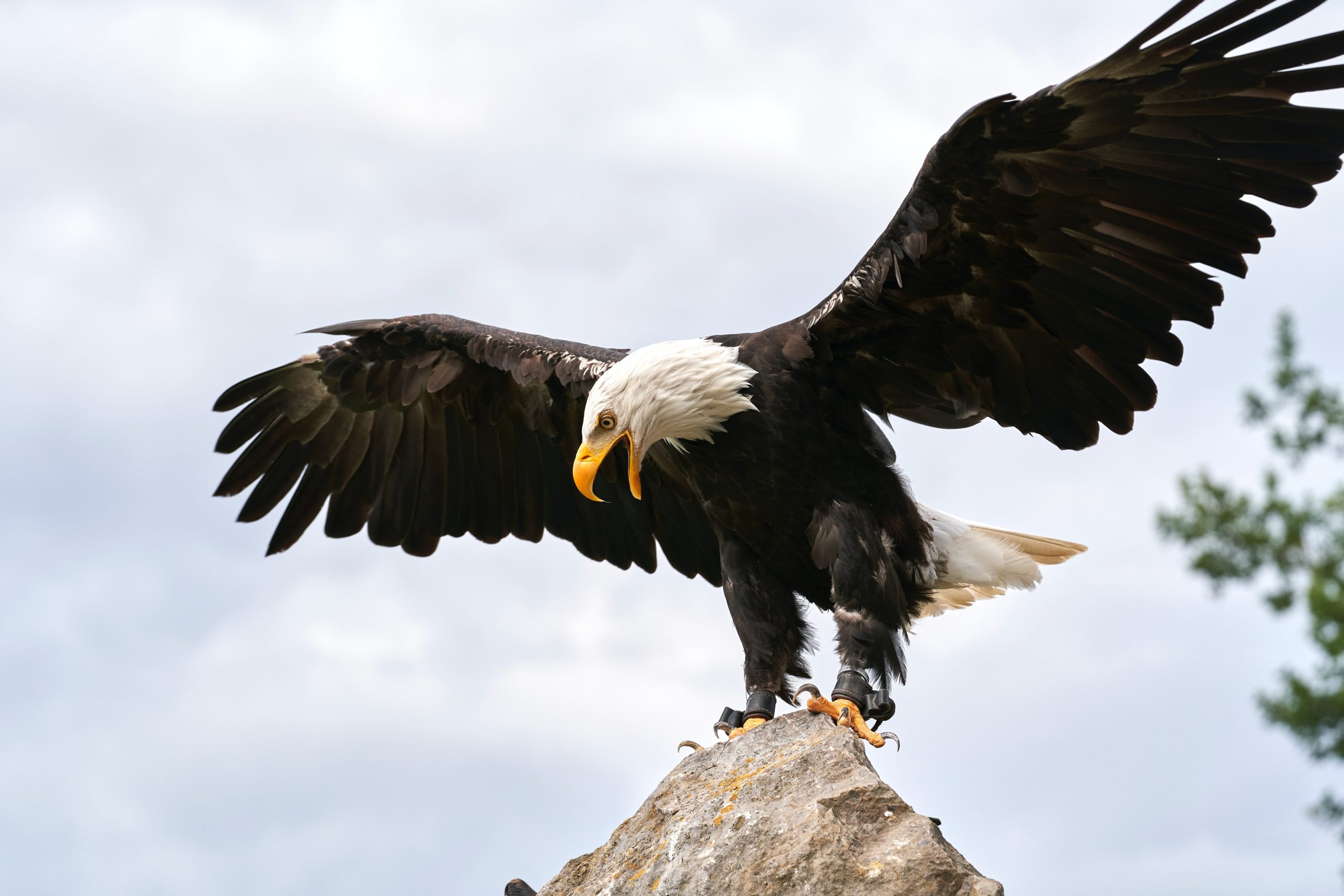 ingo-doerrie-TQWAmOShbEM-unsplash-scaled